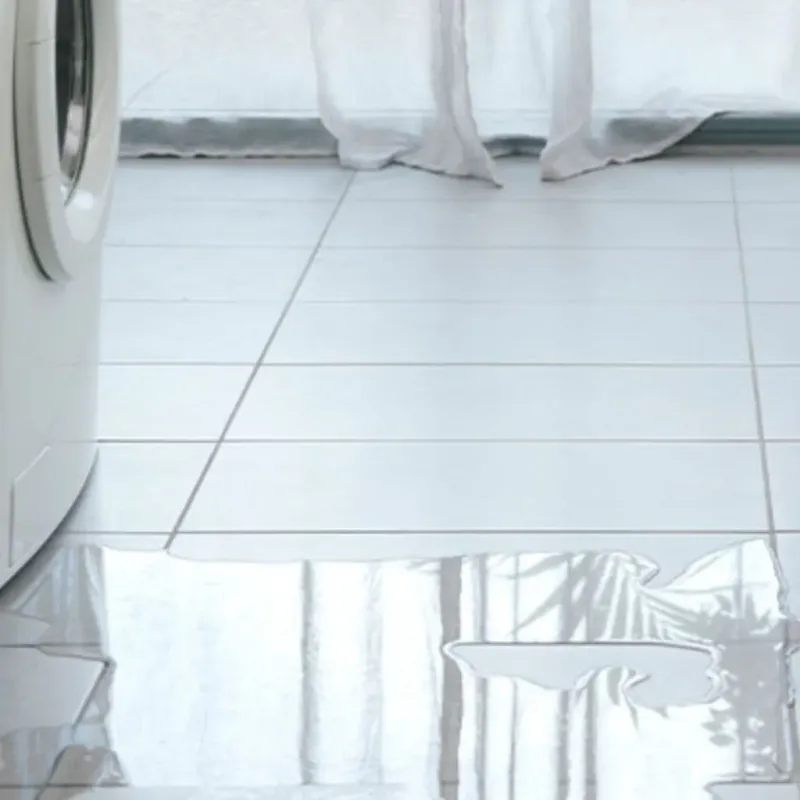 Appliance Leak Cleanup in Dulac, LA