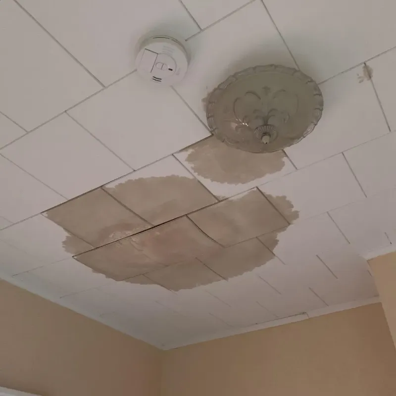 Ceiling Water Damage Repair in Dulac, LA