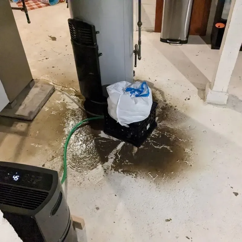 Sewage Backup Cleanup Service in Dulac, LA